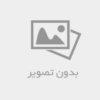 بهترین فلزیاب